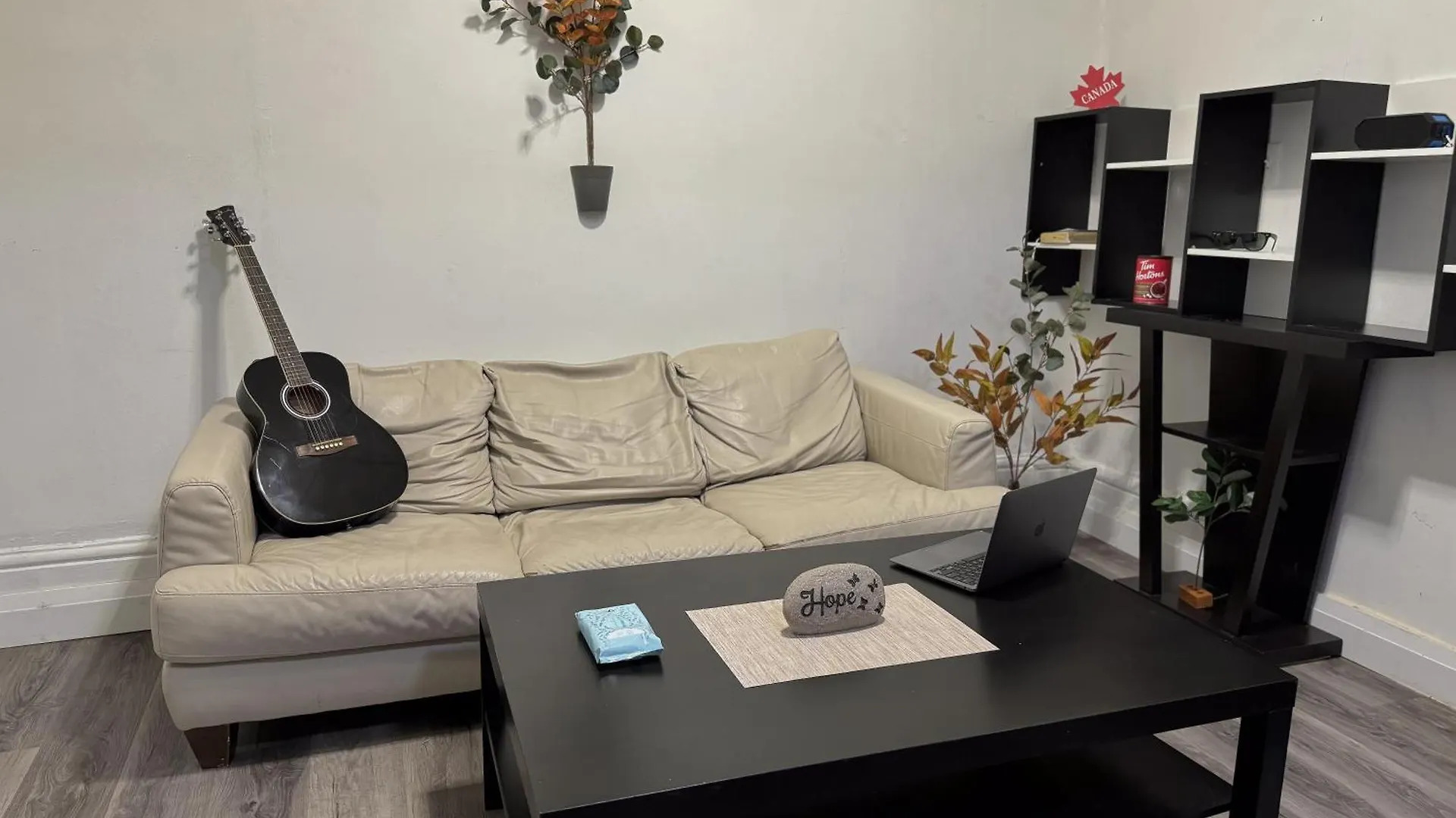 Homestay King St West And Spadina Ave, Downtown, Toronto Apartment